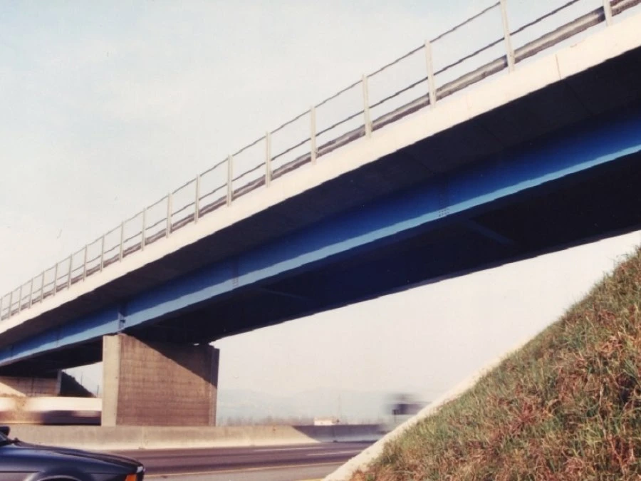 Ponte a Treviso